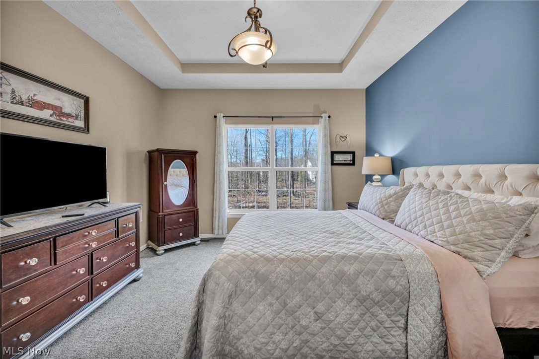 10458 Dogwood Drive Aurora OH 44202