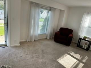 648 Belmont Drive Painesville OH 44077