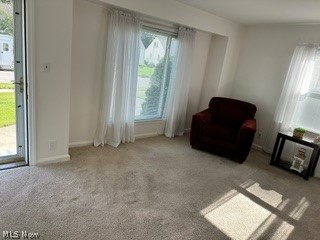 648 Belmont Drive Painesville OH 44077