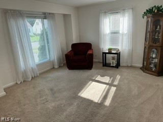 648 Belmont Drive Painesville OH 44077