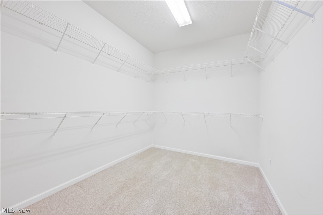 9344 Asbury Lane North Ridgeville OH 44039