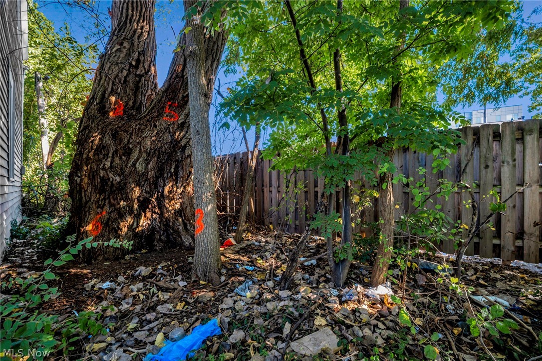 9610 Edmunds Avenue Cleveland OH 44106