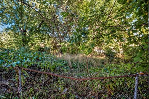9610 Edmunds Avenue Cleveland OH 44106
