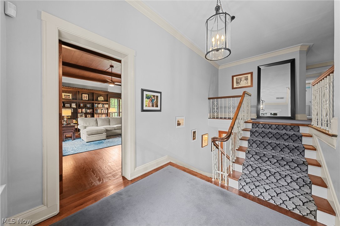 14211 Larchmere Boulevard Shaker Heights OH 44120