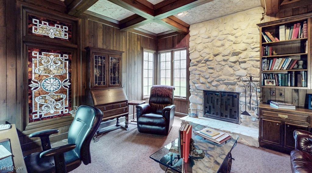 14545 Shire Court Novelty OH 44072