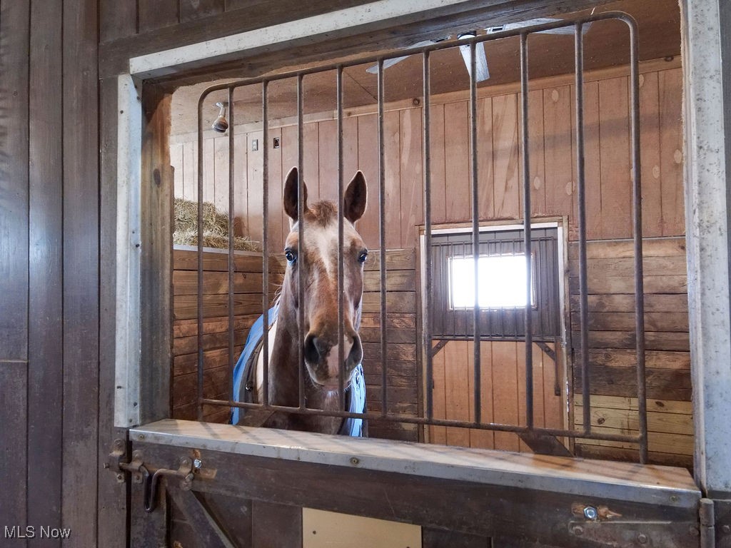 14545 Shire Court Novelty OH 44072