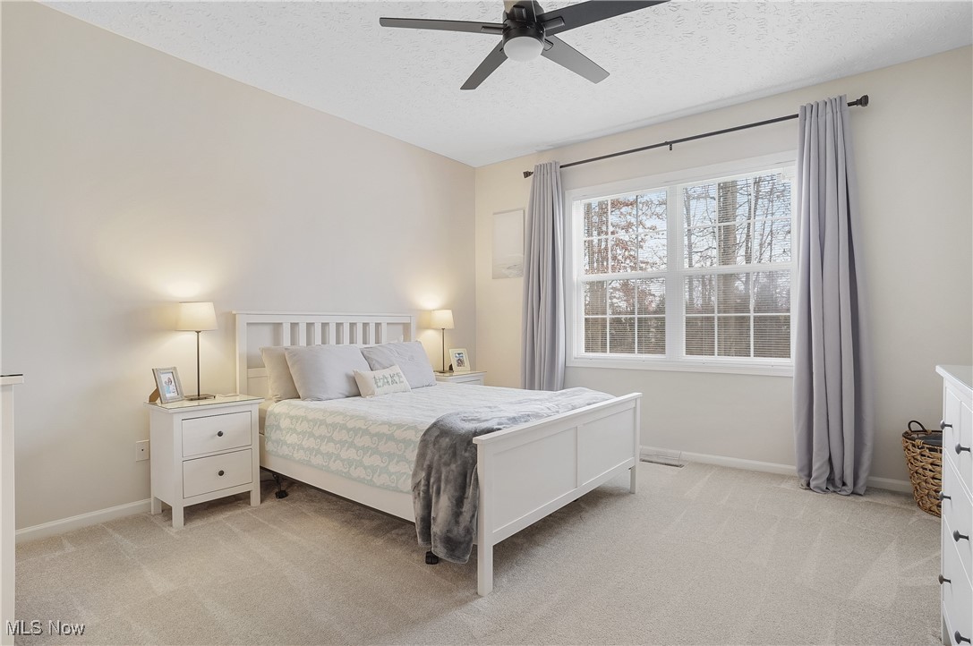 1441 Hollow Wood Lane Avon OH 44011