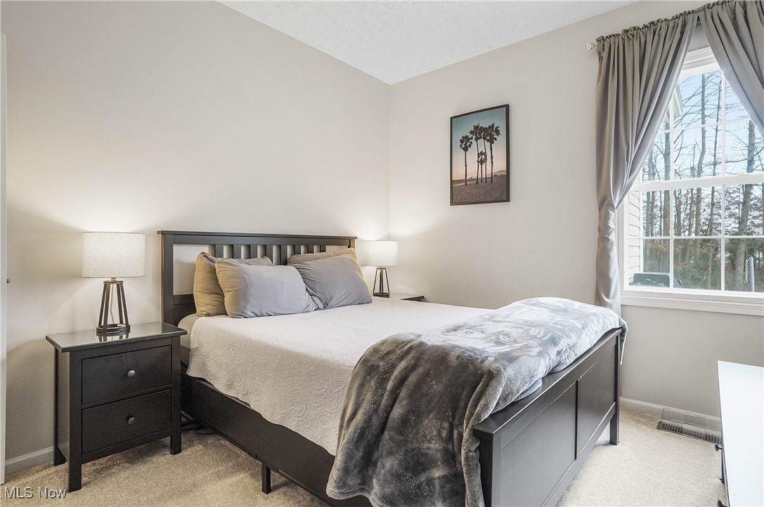 1441 Hollow Wood Lane Avon OH 44011