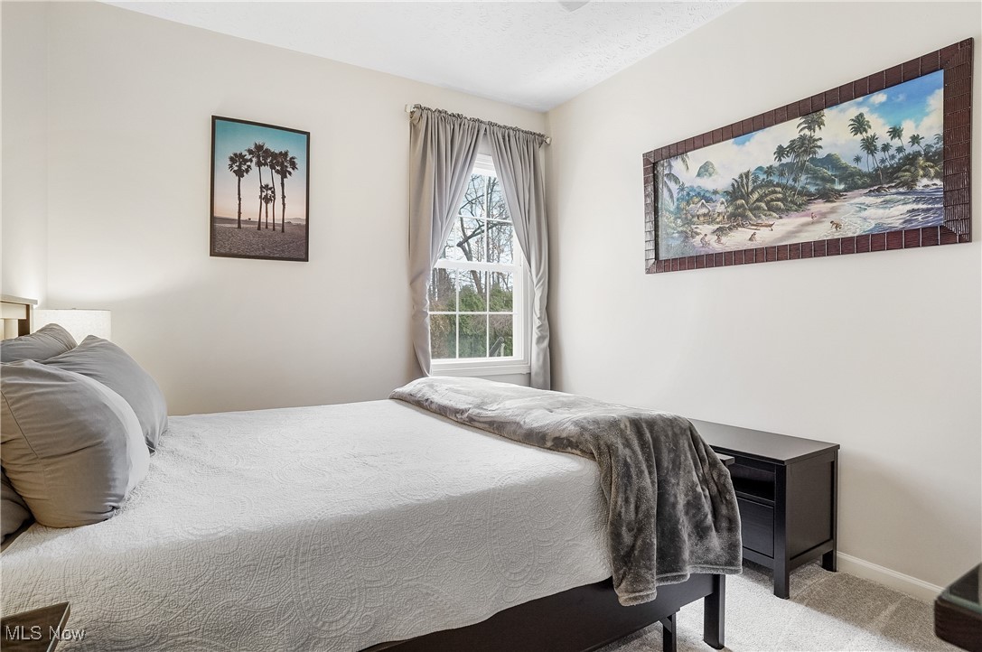 1441 Hollow Wood Lane Avon OH 44011