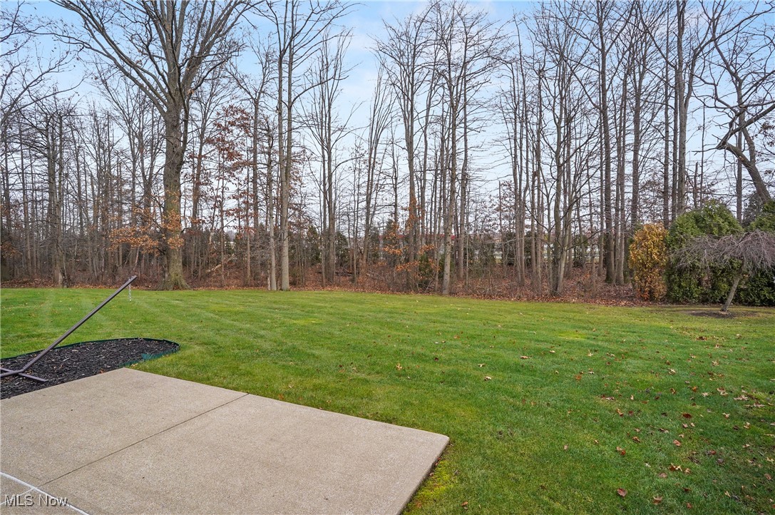 1441 Hollow Wood Lane Avon OH 44011