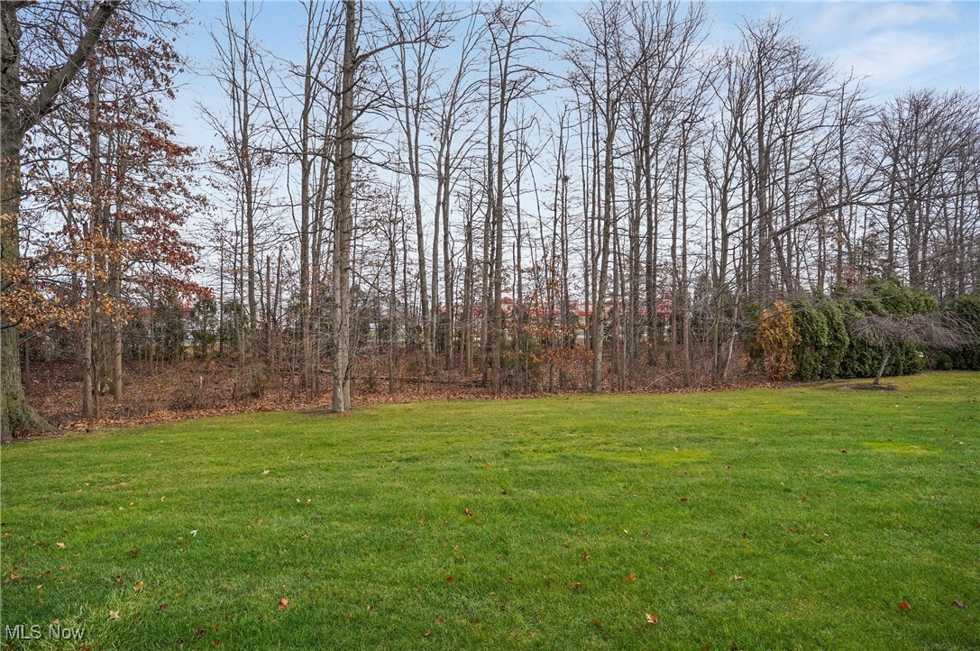 1441 Hollow Wood Lane Avon OH 44011