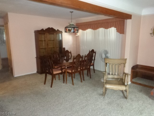 2999 Jeanne Drive Parma OH 44134