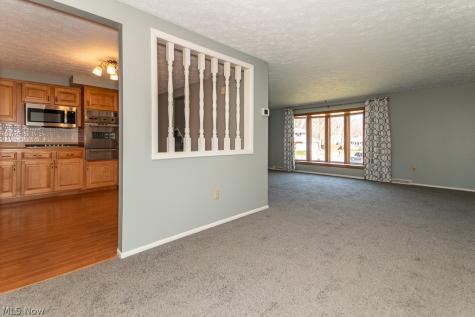 7040 Polk Court Mentor OH 44060