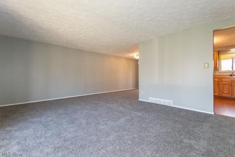 7040 Polk Court Mentor OH 44060