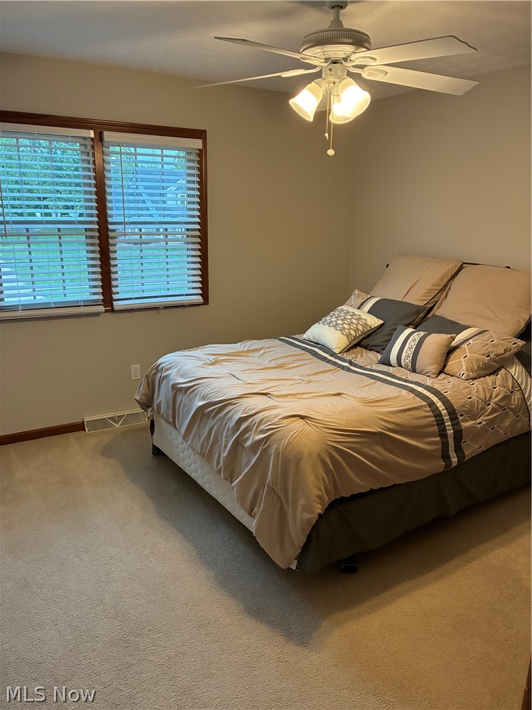 39 Morningview Circle Canfield OH 44406