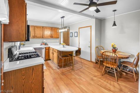 3909 Vira Road Stow OH 44224