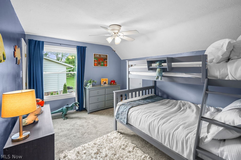 3909 Vira Road Stow OH 44224