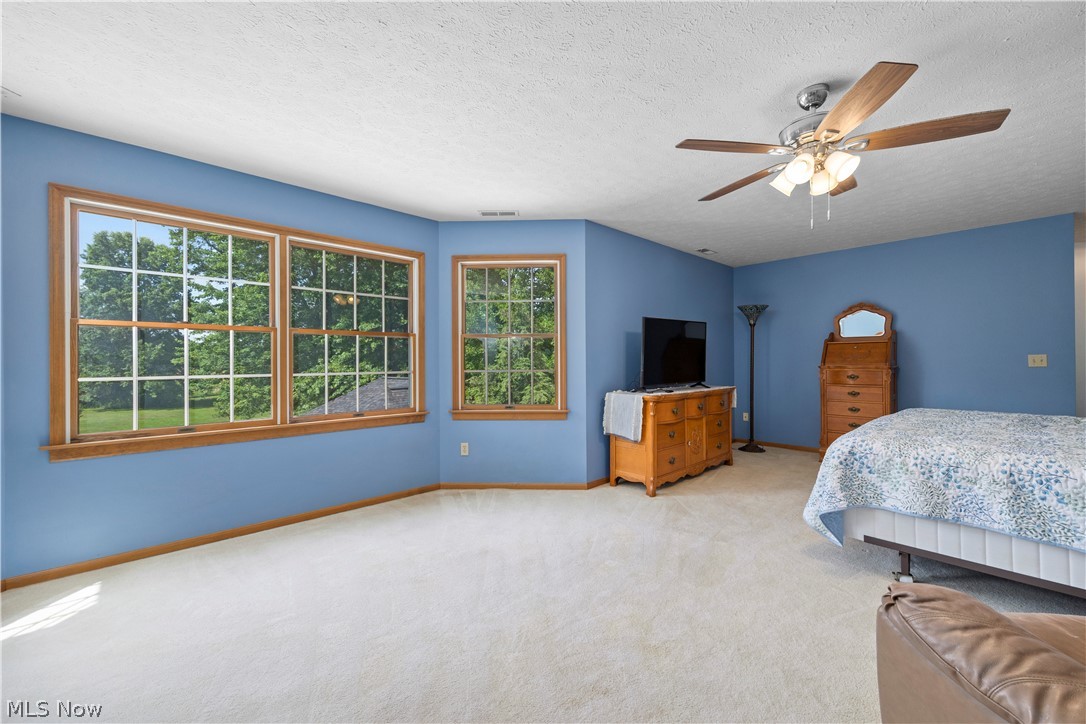 38799 Arbor Court Grafton OH 44044