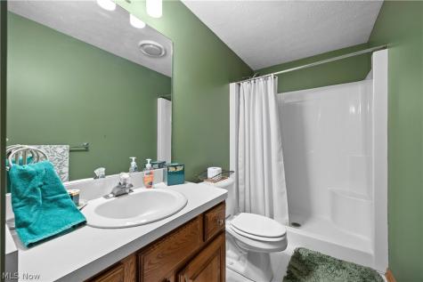 38799 Arbor Court Grafton OH 44044