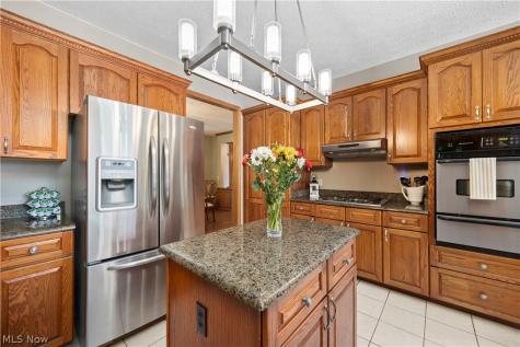 38799 Arbor Court Grafton OH 44044