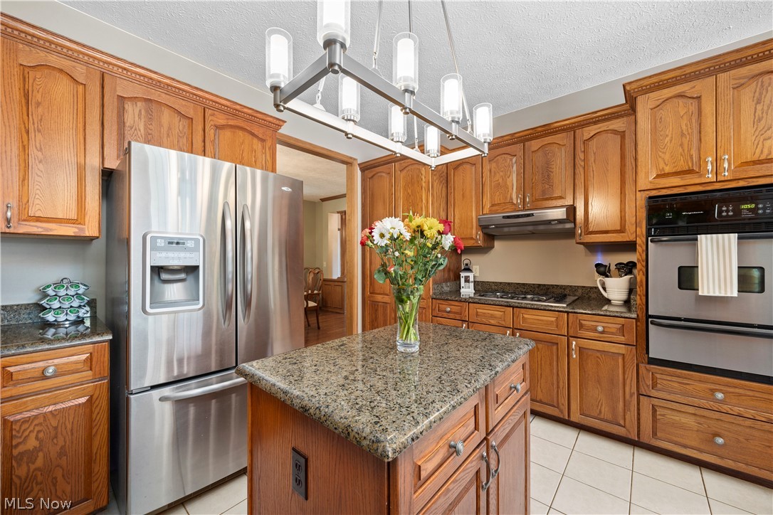 38799 Arbor Court Grafton OH 44044