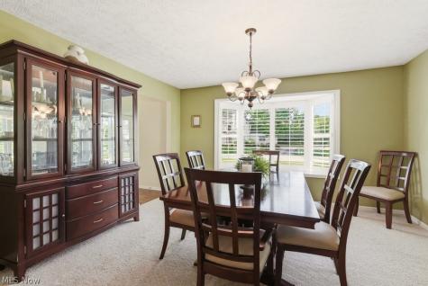709 Norbury Drive Hudson OH 44236
