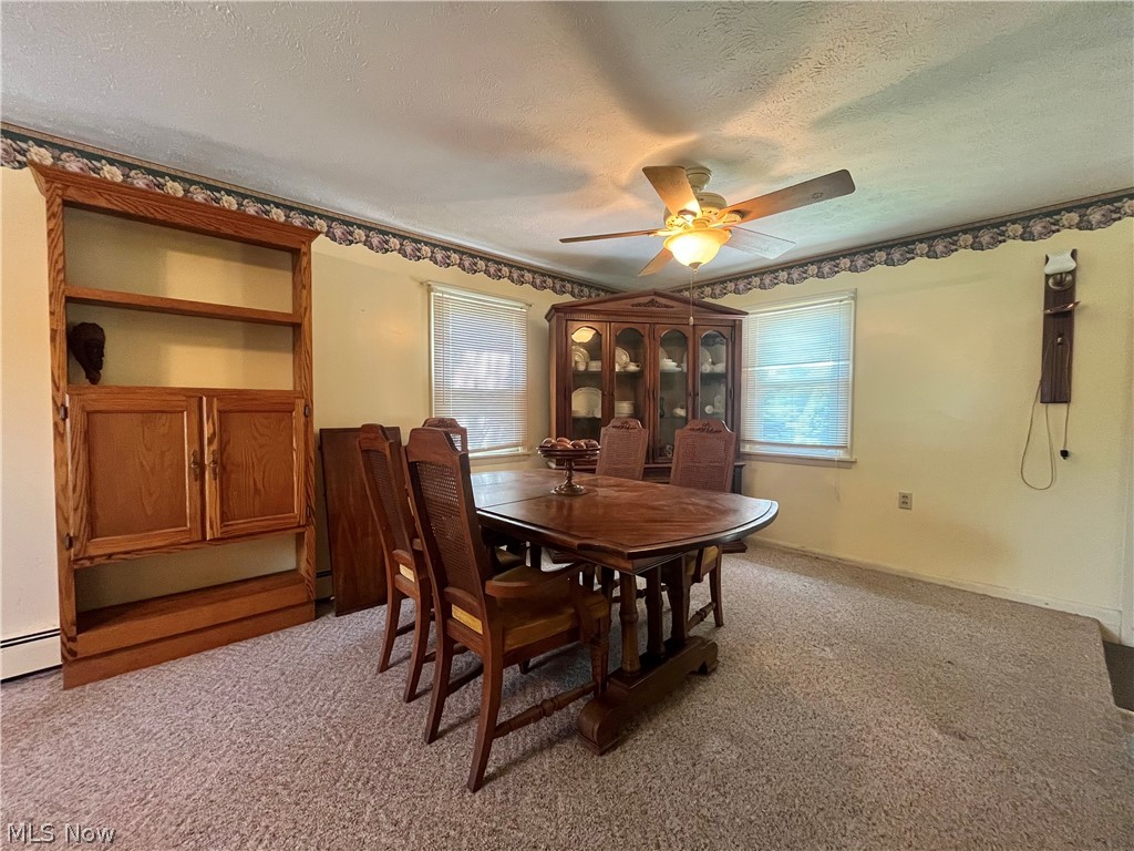 5921 Pine Street Andover OH 44003