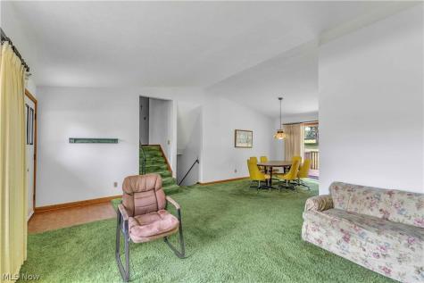 388 Cheryl Drive Tallmadge OH 44278