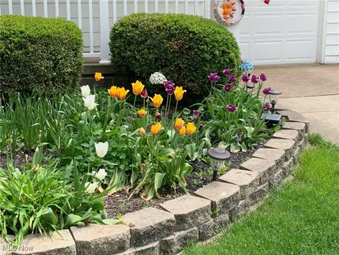 3285 Stoney Ridge Road Avon OH 44011