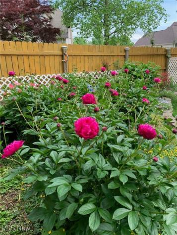 3285 Stoney Ridge Road Avon OH 44011