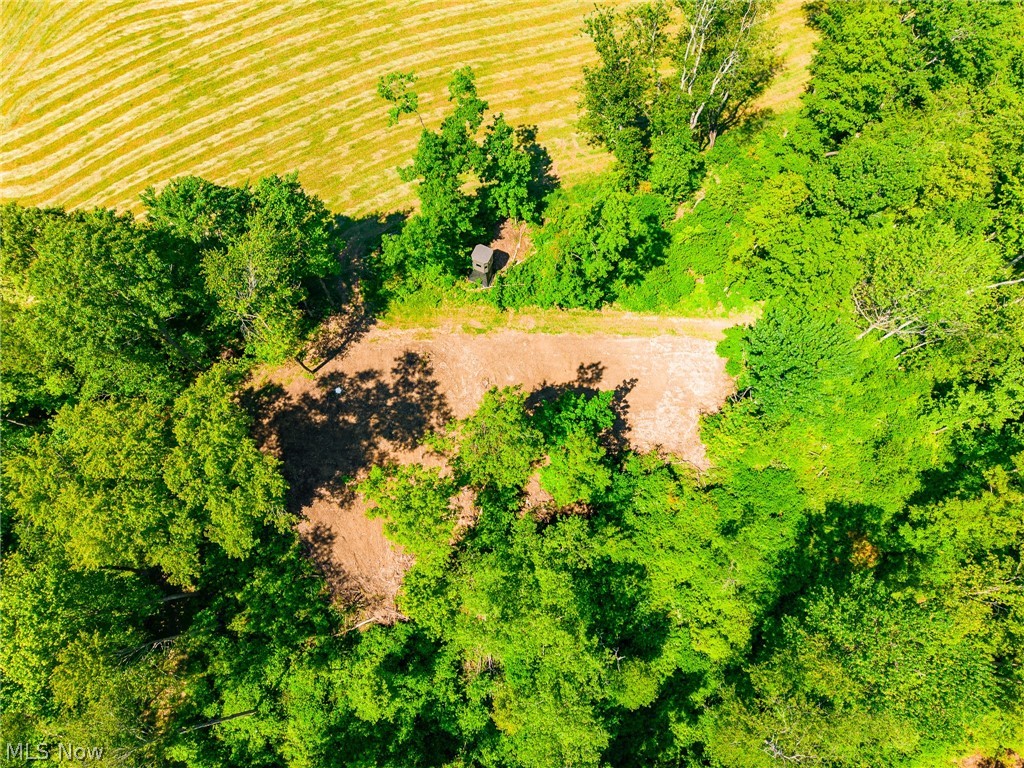3188 SW Amsterdam Road Scio OH 43986
