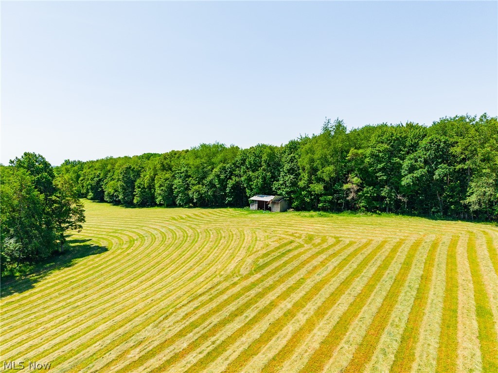 3188 SW Amsterdam Road Scio OH 43986