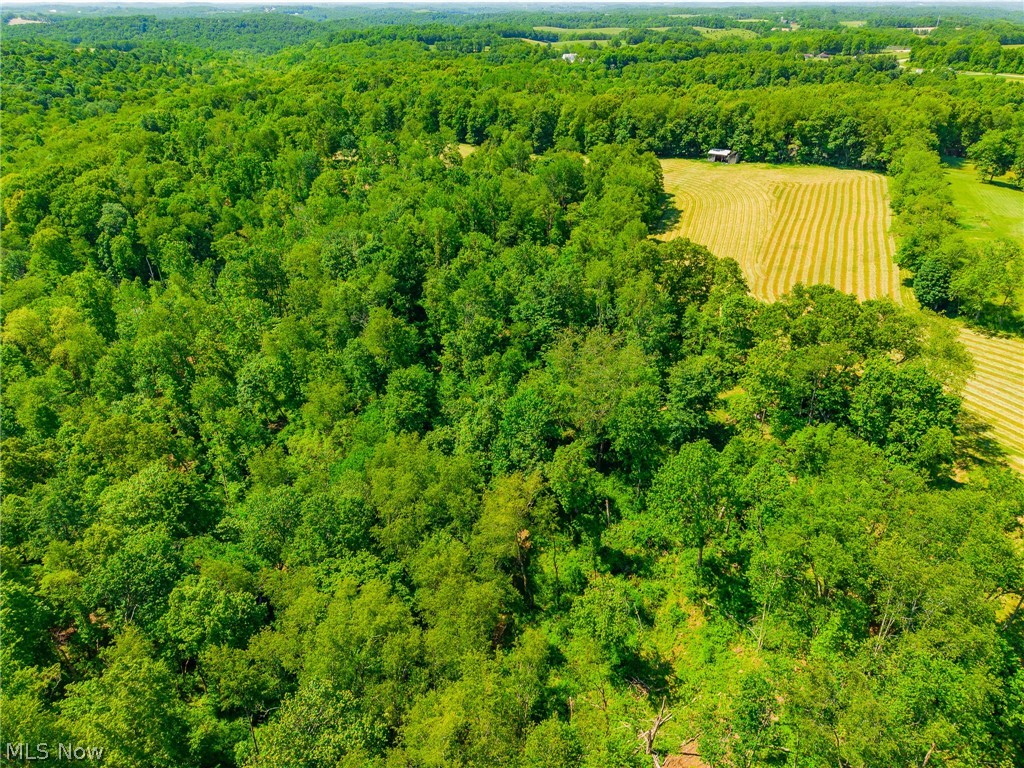 3188 SW Amsterdam Road Scio OH 43986