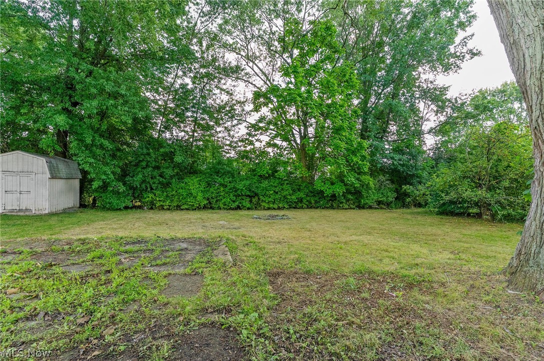 45 Summit Avenue Niles OH 44446
