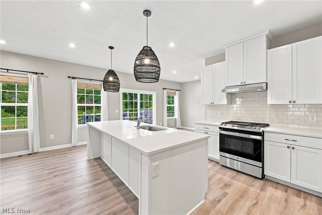 35524 Crystal Creek Court Grafton OH 44044