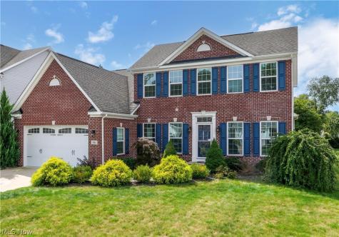 96 Ava June Drive Painesville OH 44077