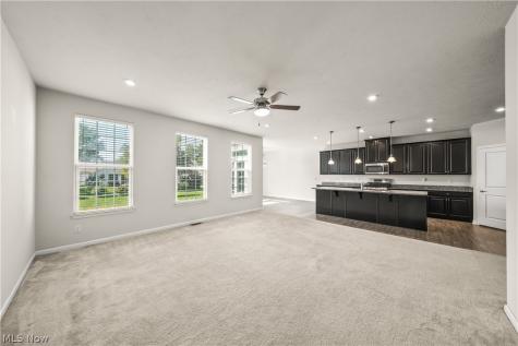 96 Ava June Drive Painesville OH 44077