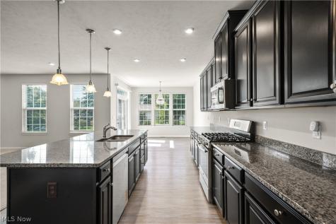 96 Ava June Drive Painesville OH 44077