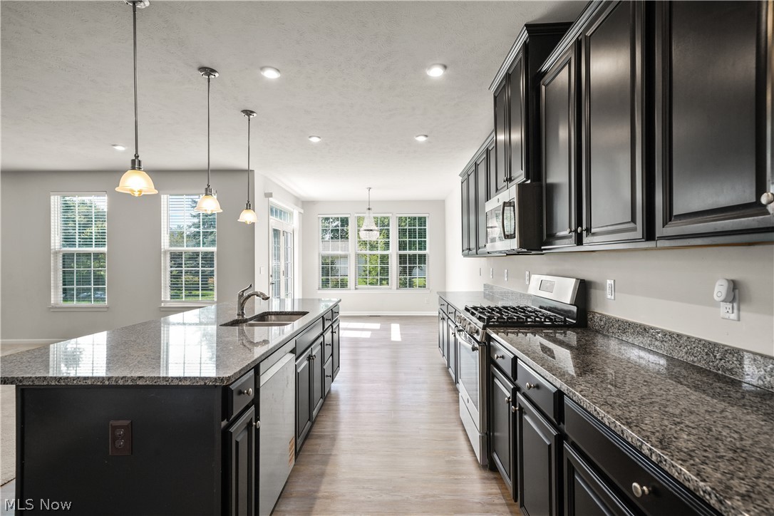 96 Ava June Drive Painesville OH 44077