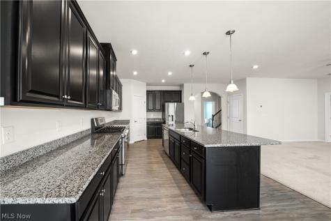 96 Ava June Drive Painesville OH 44077