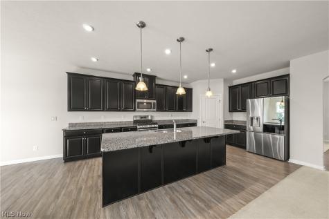 96 Ava June Drive Painesville OH 44077
