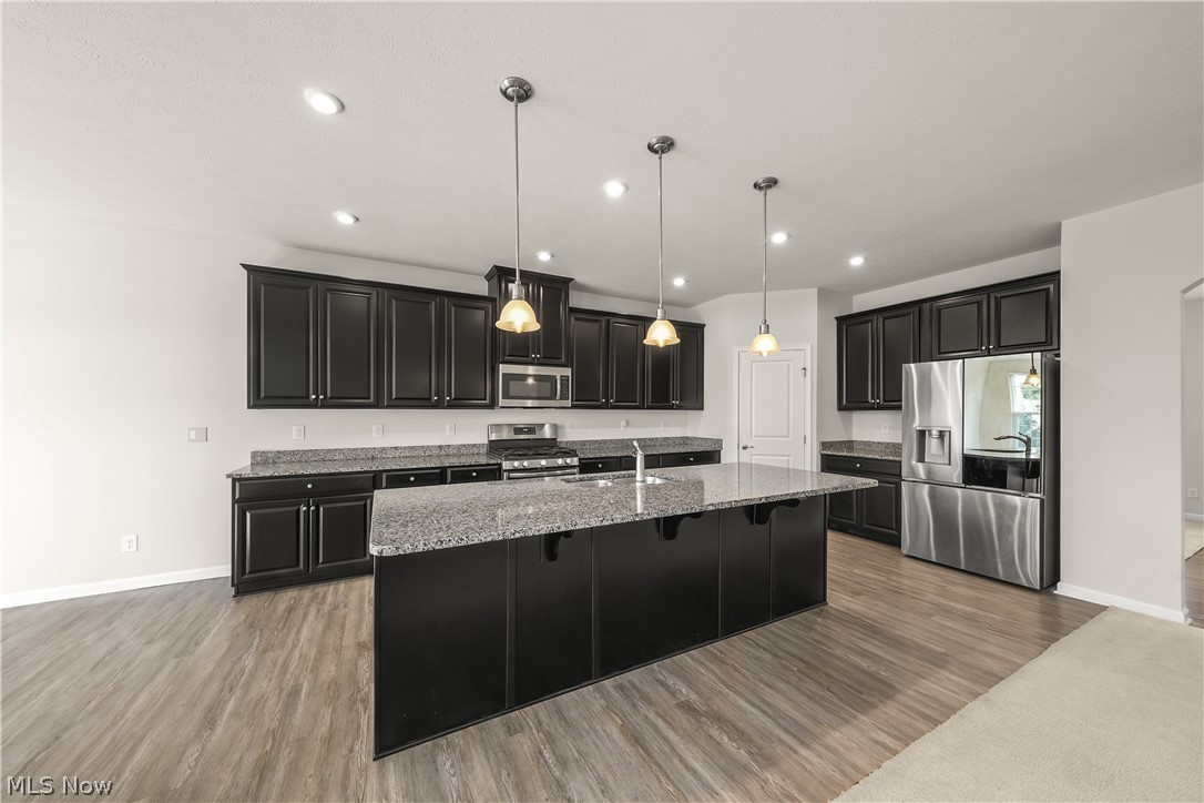 96 Ava June Drive Painesville OH 44077