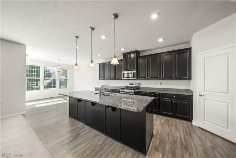 96 Ava June Drive Painesville OH 44077