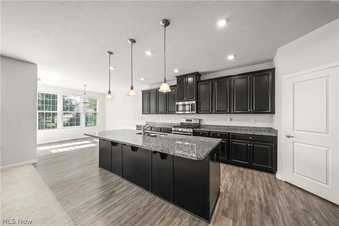 96 Ava June Drive Painesville OH 44077