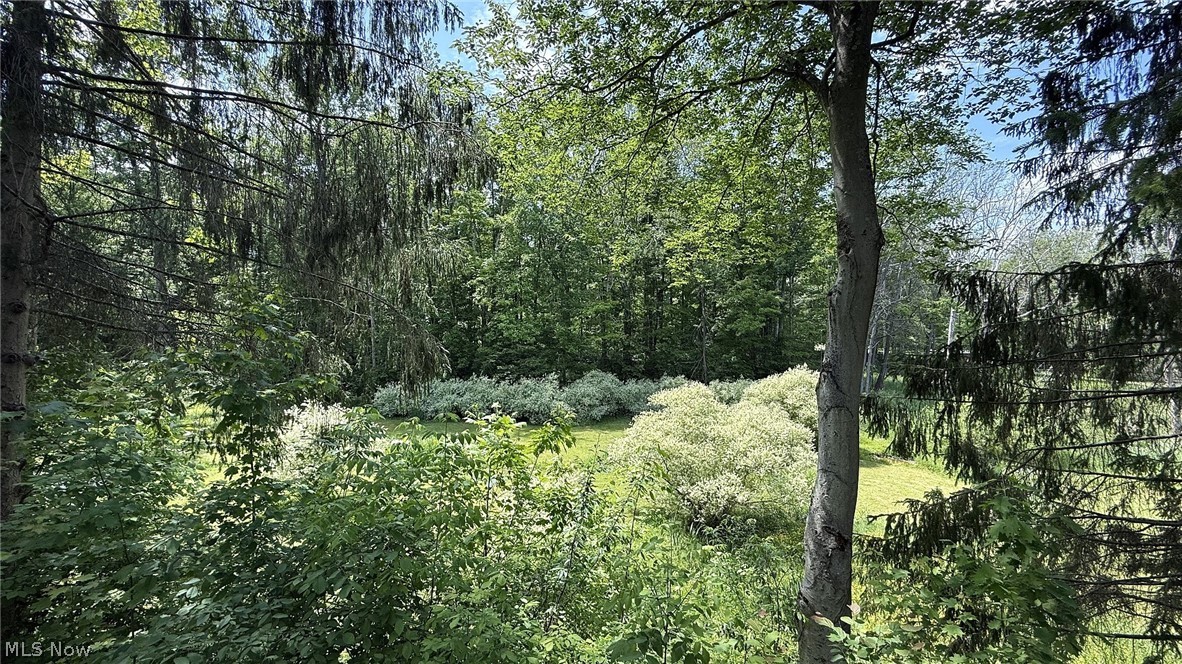 13702 Cuyahoga Trail Novelty OH 44072