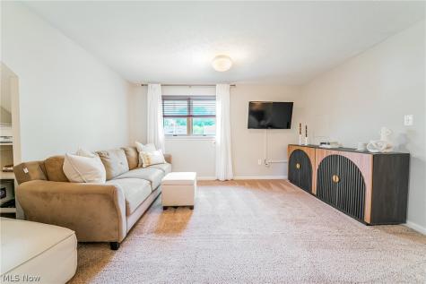 1376 Parkview Drive Lyndhurst OH 44124