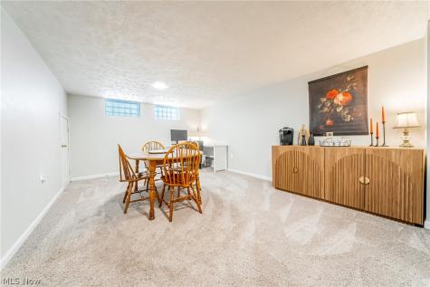 1376 Parkview Drive Lyndhurst OH 44124