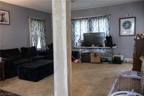 304 Wooster Street Lodi OH 44254