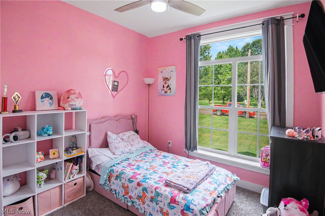 4463 Cloverlane Avenue NW Champion OH 44483