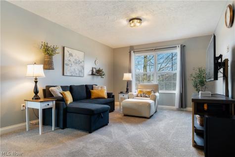 2343 Pebble Brook Path Orrville OH 44667